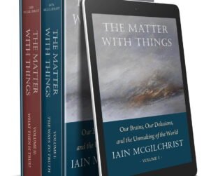 Iain McGhilchrist - The Matter with Things